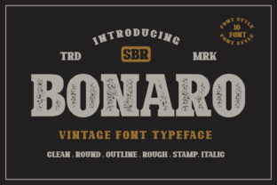 Bonaro Family: A Timeless Typographic Statement