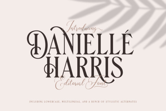 Danielle Harris Font for Memorable Branding