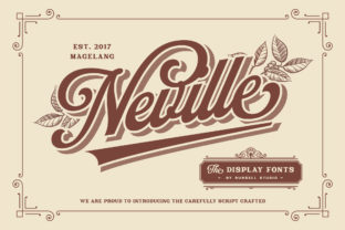 Neville Display Font Review